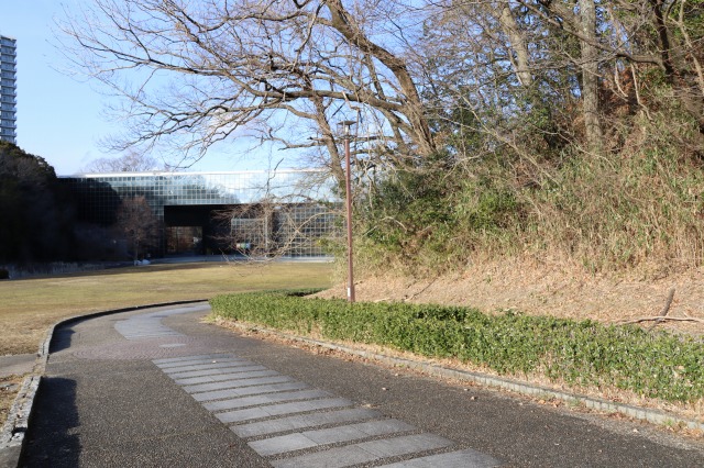 落ち葉を散らかしているのは誰？ - 兵庫県立人と自然の博物館（ひとは